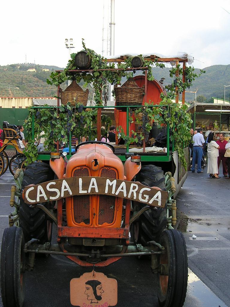 FestaUva (48).JPG